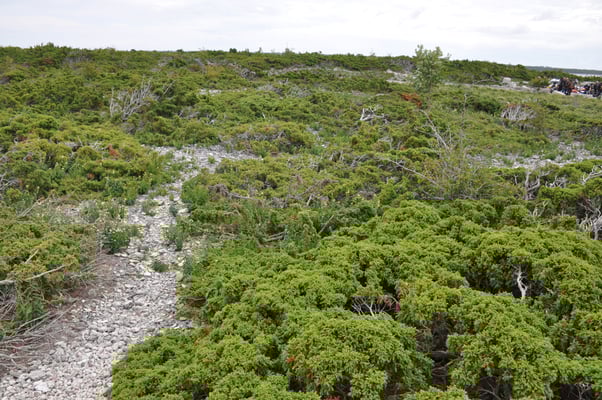 Schweden, Insel Farö, Rauk Gebiete