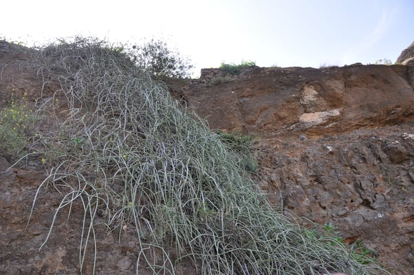 Kap Verden, Insel Santo Antao