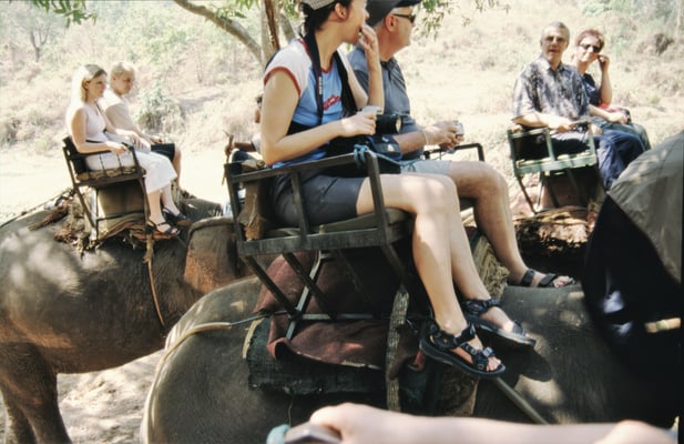 Thailand, Elefantencamp