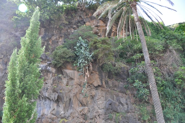 Madeira, Sao Vicente, Kirche Paroquia de Sao Vicente