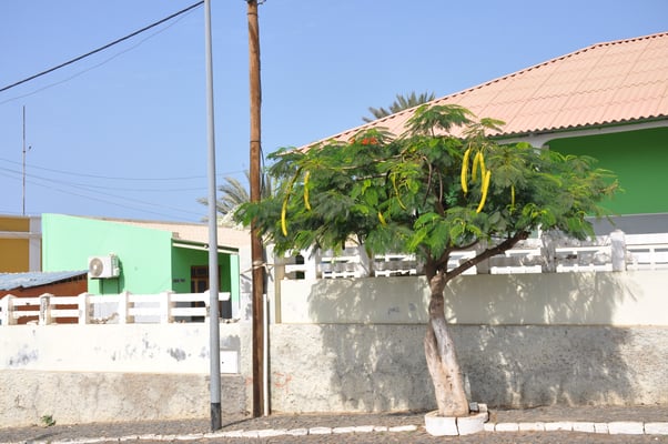 Kap Verden, Insel Fogo, Sao Felipe