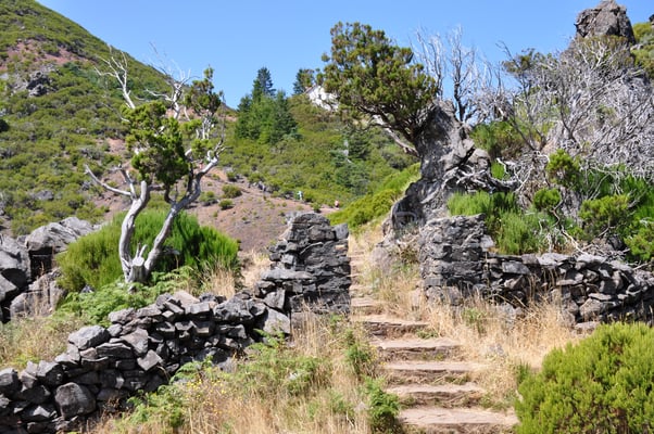 Madeira, Wanderung zum Vereda do Pico Ruivo