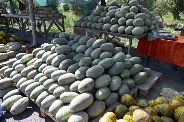 Usbekistan:  Auf dem Weg von Taschkent nach Sarmakant, Melonenverkauf am Straßenrand