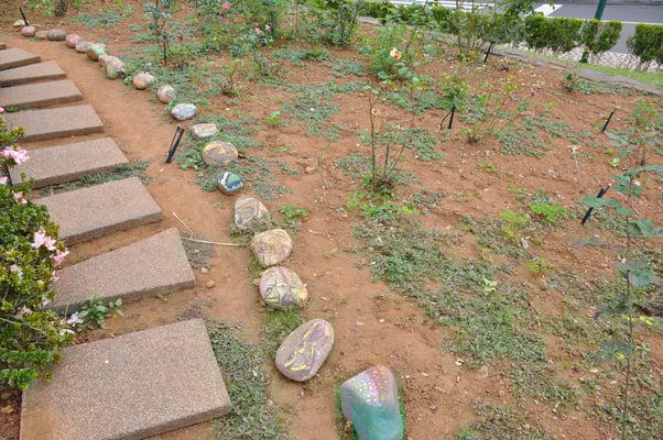 Madeira, Santana, Dreieckhäuser aus Colmo