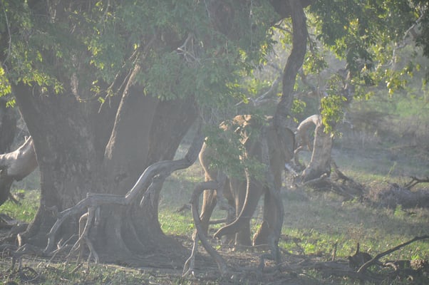 Sri Lanka, Yala Nationalpark