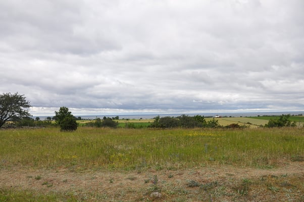 Schweden, Öland, Gräberfeld von Gettlinge