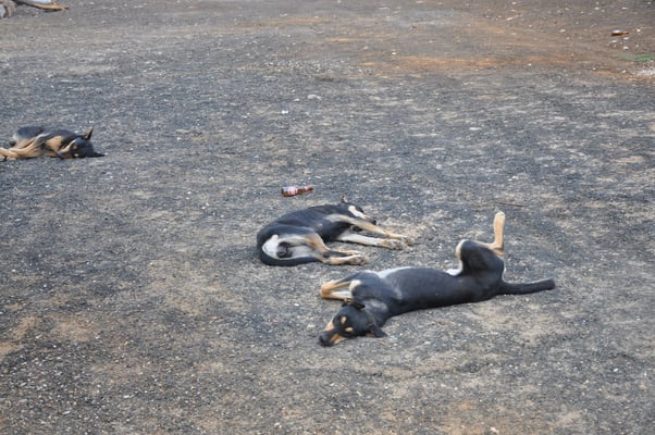 Kap Verden, Insel Sao Vicente, Inselrundfahrt