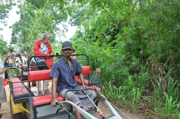 Sri Lanka, Hirwadunna, Fahrt mit einem Traktor