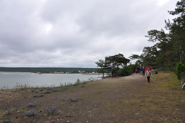 Schweden, Gotland, Jungfruklint, Gotlands, höchste Kalksäule