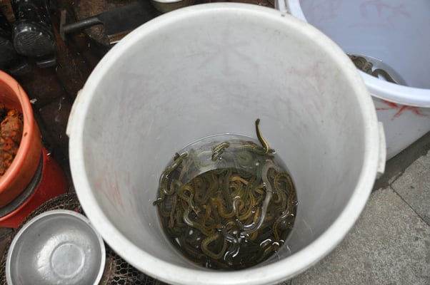 China, Kanton, Markt