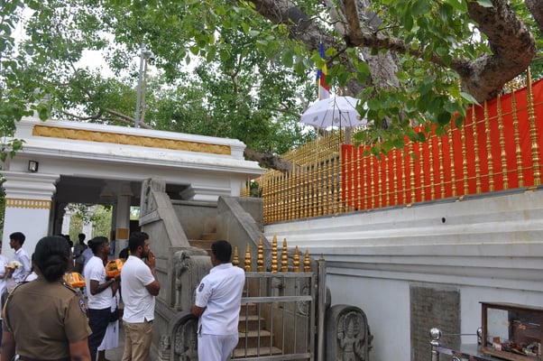 Sri Lanka: Anuradhapura, Jaya Sri Maha Boddhi