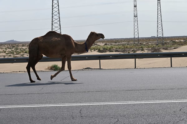 Turkmenistan, Auf dem Weg von Ashgabad nach Turkmenbashi
