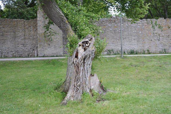 Schweden, Gotland, Visby mit Kathedrale und Stadtmauer