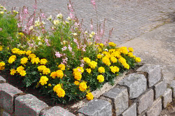 Schweden, Karlskrona