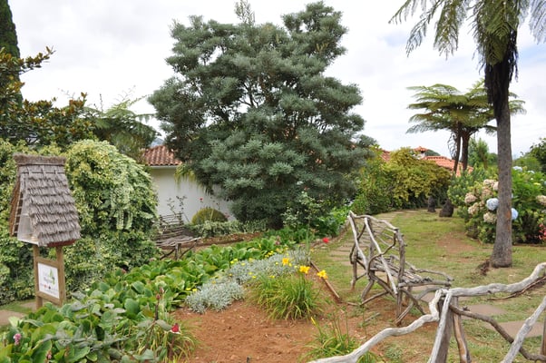 Madeira, Santana, Dreieckhäuser aus Colmo