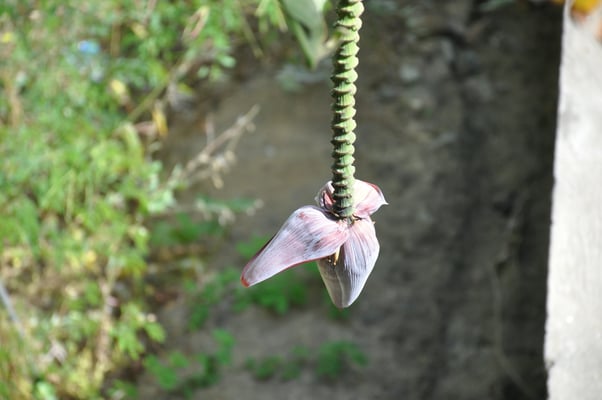 Kap Verden, Insel Santo Antao