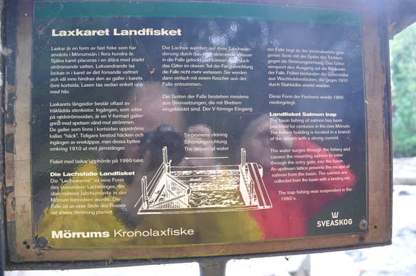 Schweden, Mörrums, bester Lachsfluss von Schweden