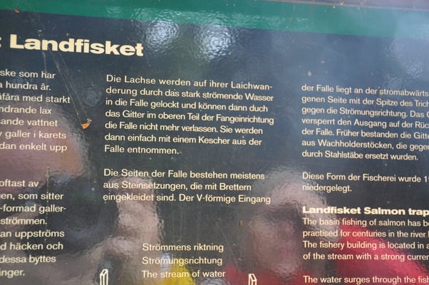 Schweden, Mörrums, bester Lachsfluss von Schweden