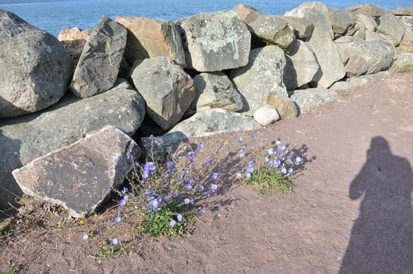 Schweden, Gränna, Campingplatz