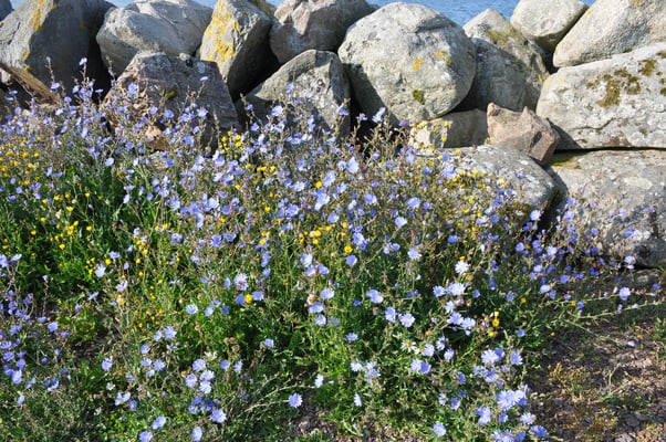 Schweden, Gränna, Campingplatz
