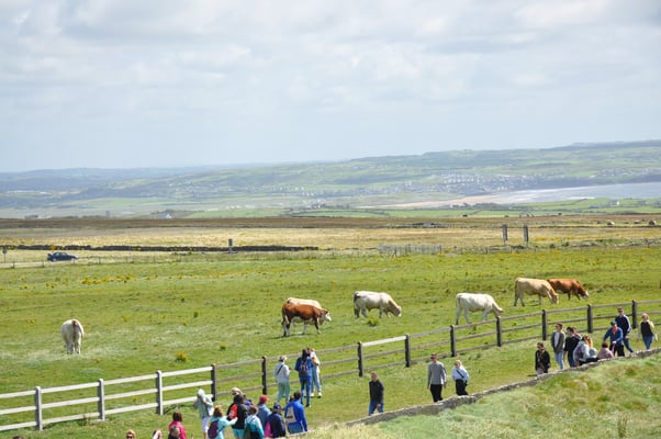 Irland, Cliffs of Moher