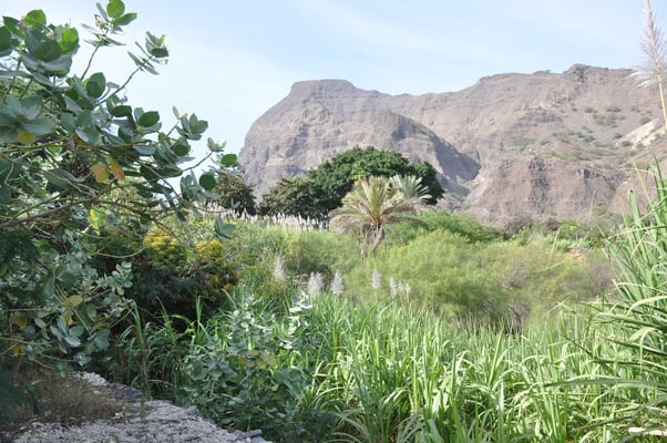 Kap Verden, Insel Santo Antao