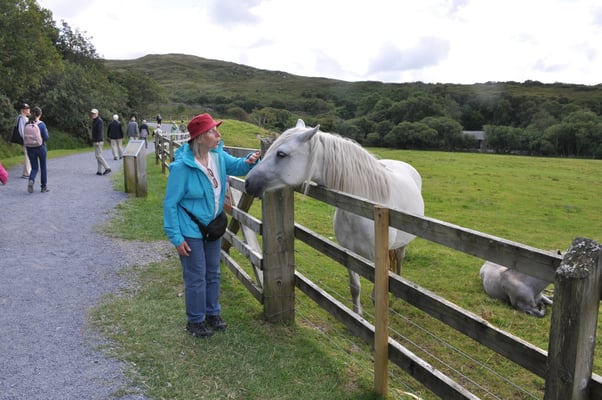 Irland, Connamara Nationalpark