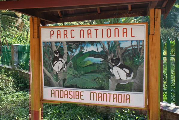 Madagaskar, Andasibe Nationalpark