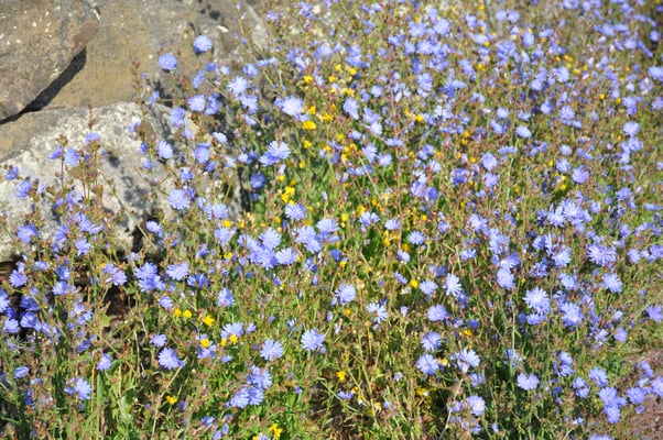 Schweden, Gränna, Campingplatz