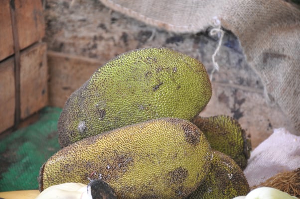 Sri Lanka, Hambantota