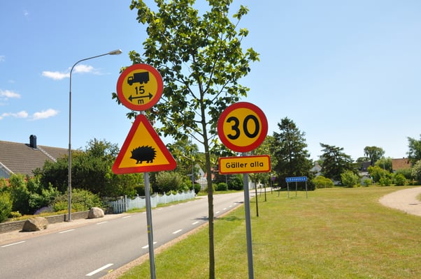 Schweden, Ales Stenar