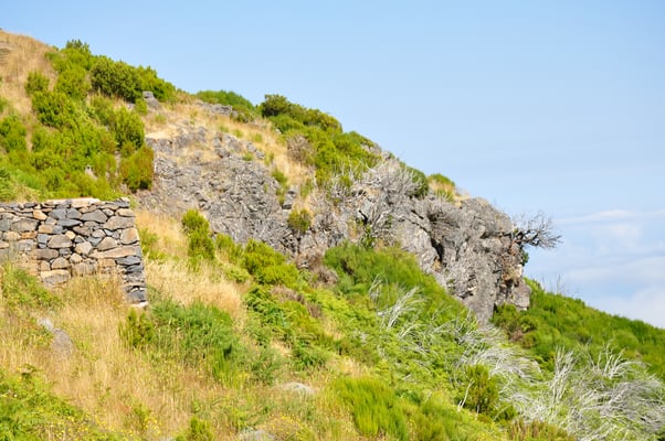 Madeira, Wanderung zum Vereda do Pico Ruivo
