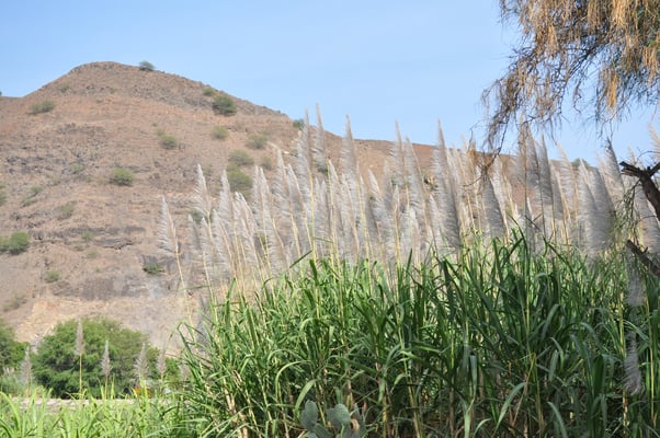 Kap Verden, Insel Santo Antao