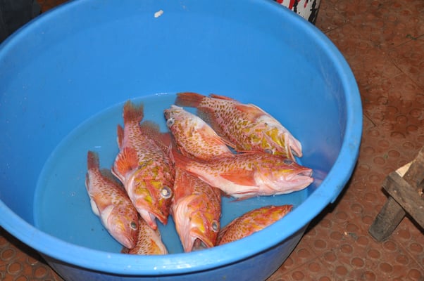 Kap Verden, Insel Santiago, Assomada, Markt