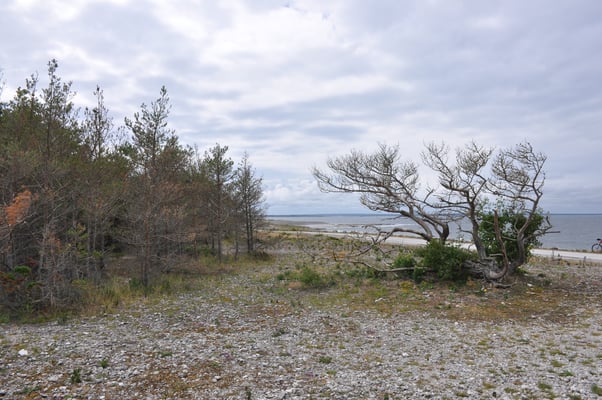 Schweden, Insel Farö, Rauk Gebiete