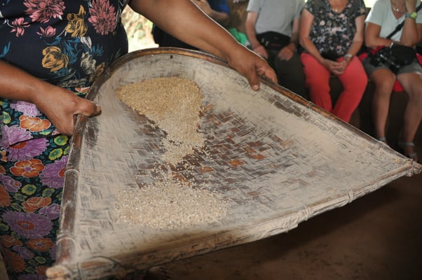 Sri Lanka, Hirwadunna, Kochkurs