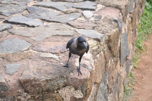 Sri Lanka, Galle mit Hafenfestung