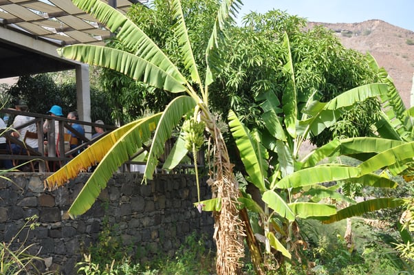 Kap Verden, Insel Santo Antao