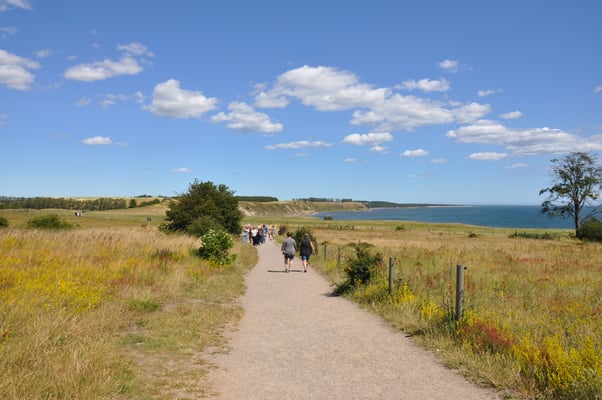 Schweden, Ales Stenar