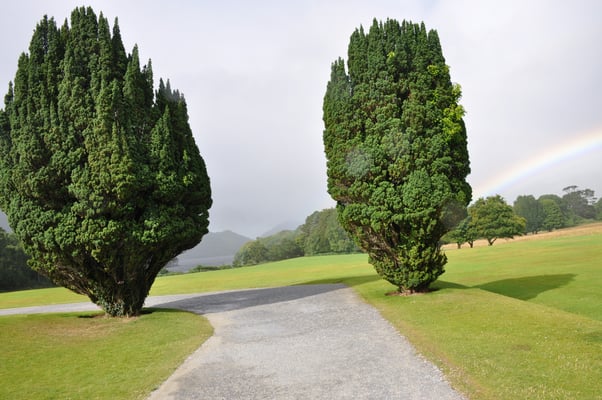 Irland, Muckross House mit Garten