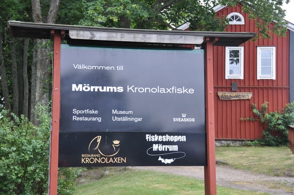 Schweden, Mörrums, bester Lachsfluss von Schweden