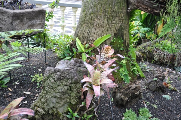 Madeira, Funchal, Villa Quitas das Cruzas, Jardins do Lago