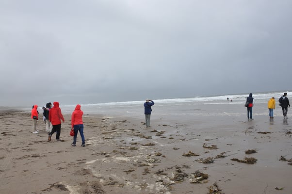 Irland, Halbinsel Dingle, Inch Strand