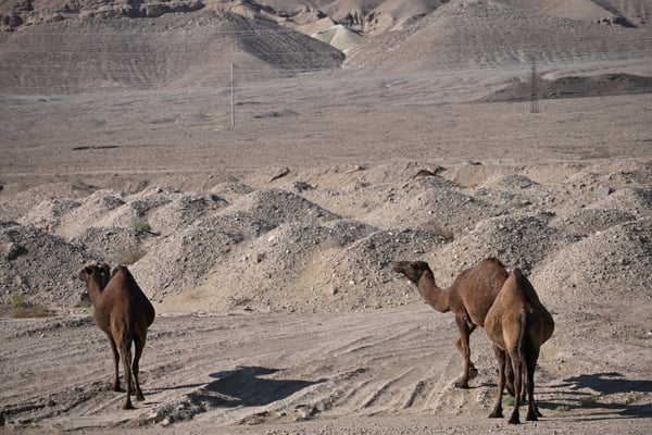 Turkmenistan, Auf dem Weg von Ashgabad nach Turkmenbashi