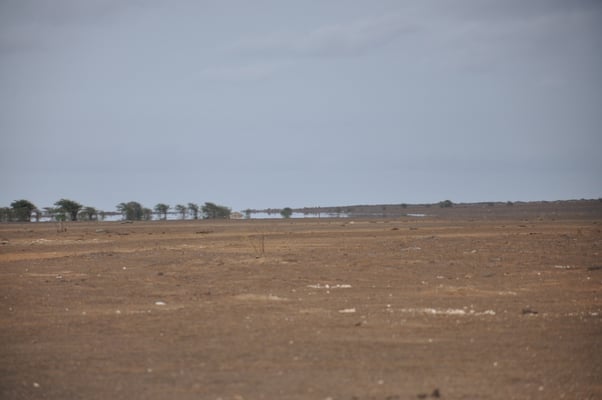 Kap Verden, Insel Sal, Haifischbucht