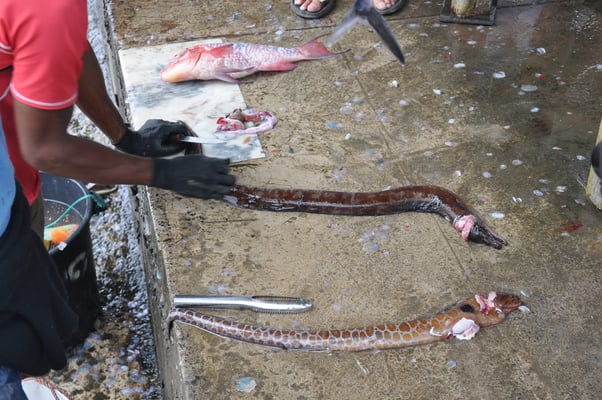 Kap Verden, Insel Sal, Santa Maria