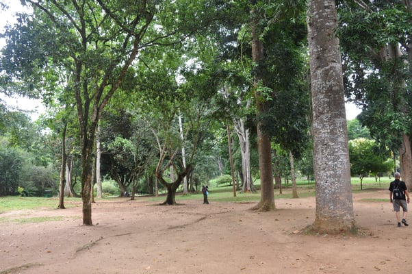 Sri Lanka, Kandy, Royal Botanic Gardens