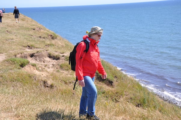 Schweden, Ales Stenar