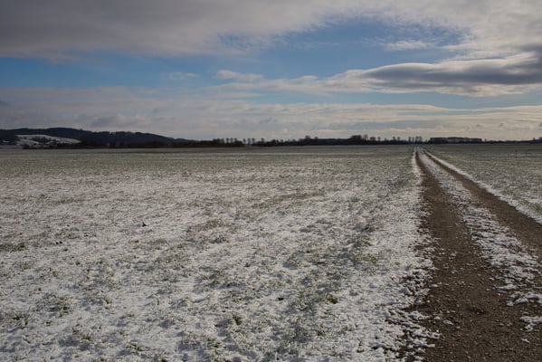 Alle Fotos Joachim Aschenbrenner