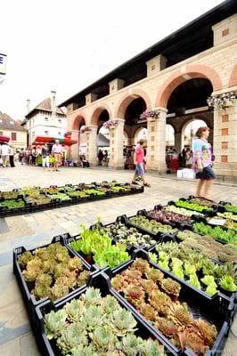 "Place de la halle" in  Gramat